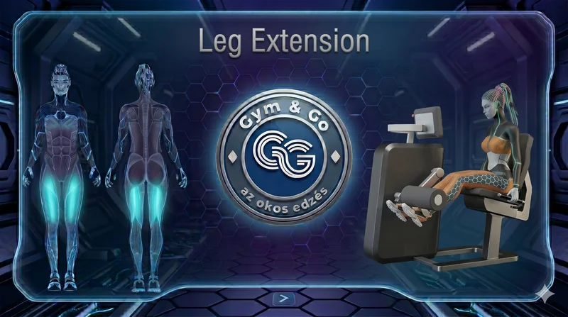 Leg Extension